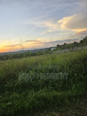 50*100 Title Land Kakiri Kikandwa