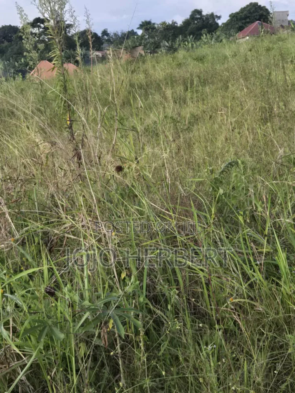 50*100 Title Land Kakiri Kikandwa