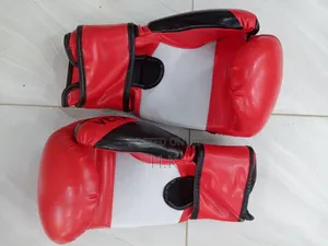 Venum Boxing Gloves