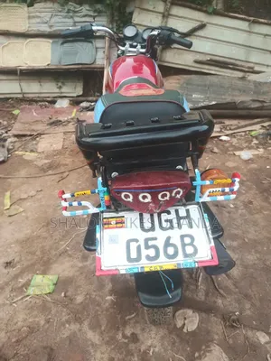 Bajaj CT 110X 2024 Red