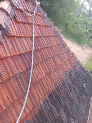 Roof Tile Cleaning Services