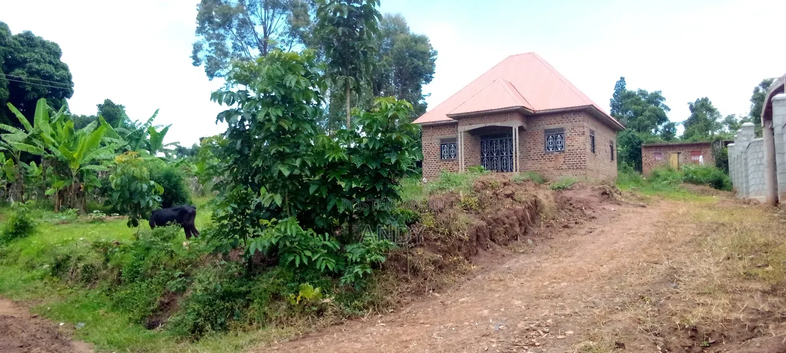 Kakiri Town Plot 60/90ft Near Kakiri Barracks Private Mailo