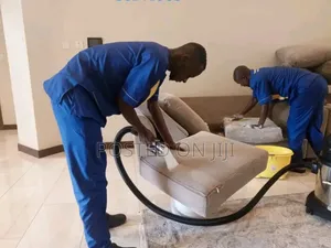 Sofa Set Cleaning Services