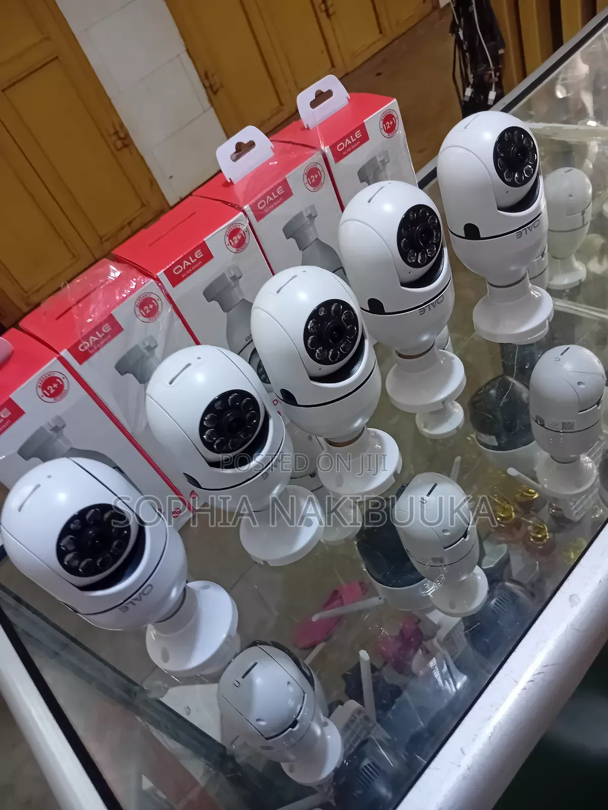 Bulb Cameras