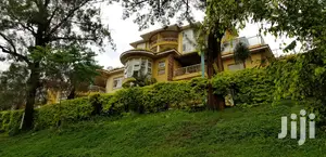 Smart Designer Apartment With Panoramic City Views For Rent In Mbuya