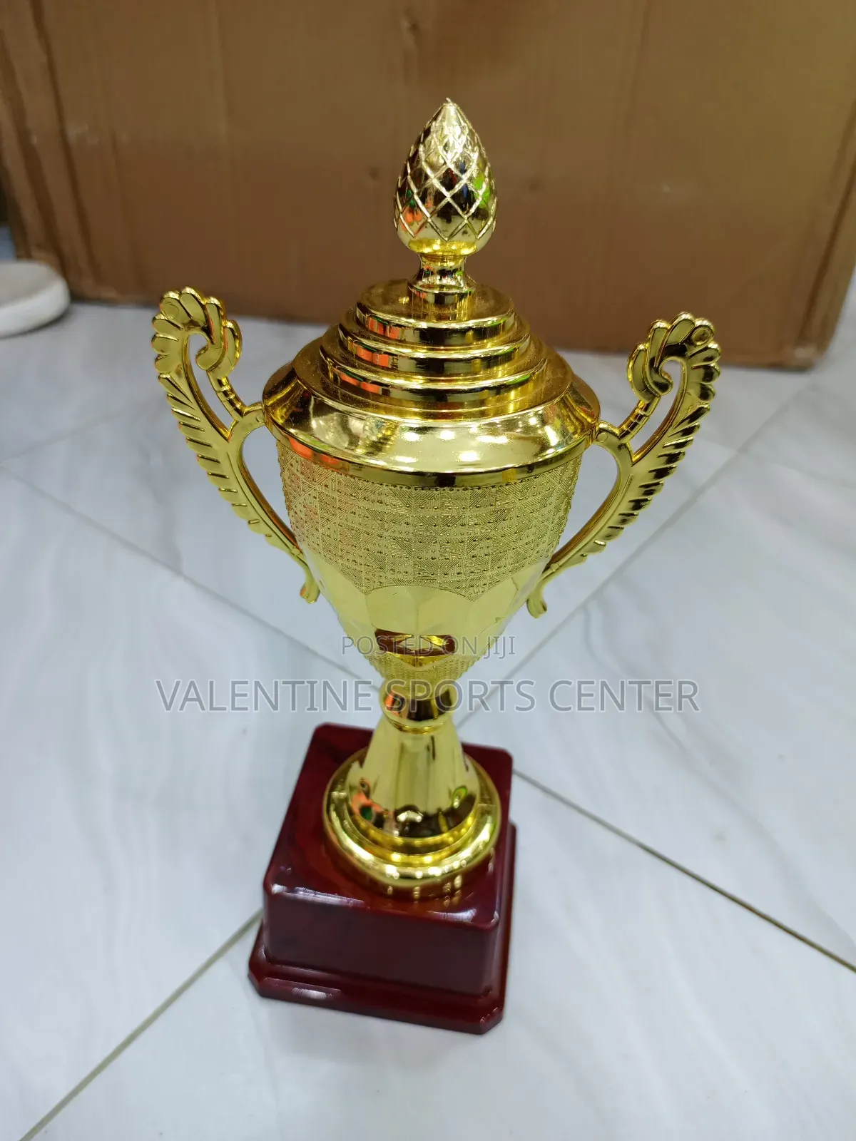 Trophy Medium Size