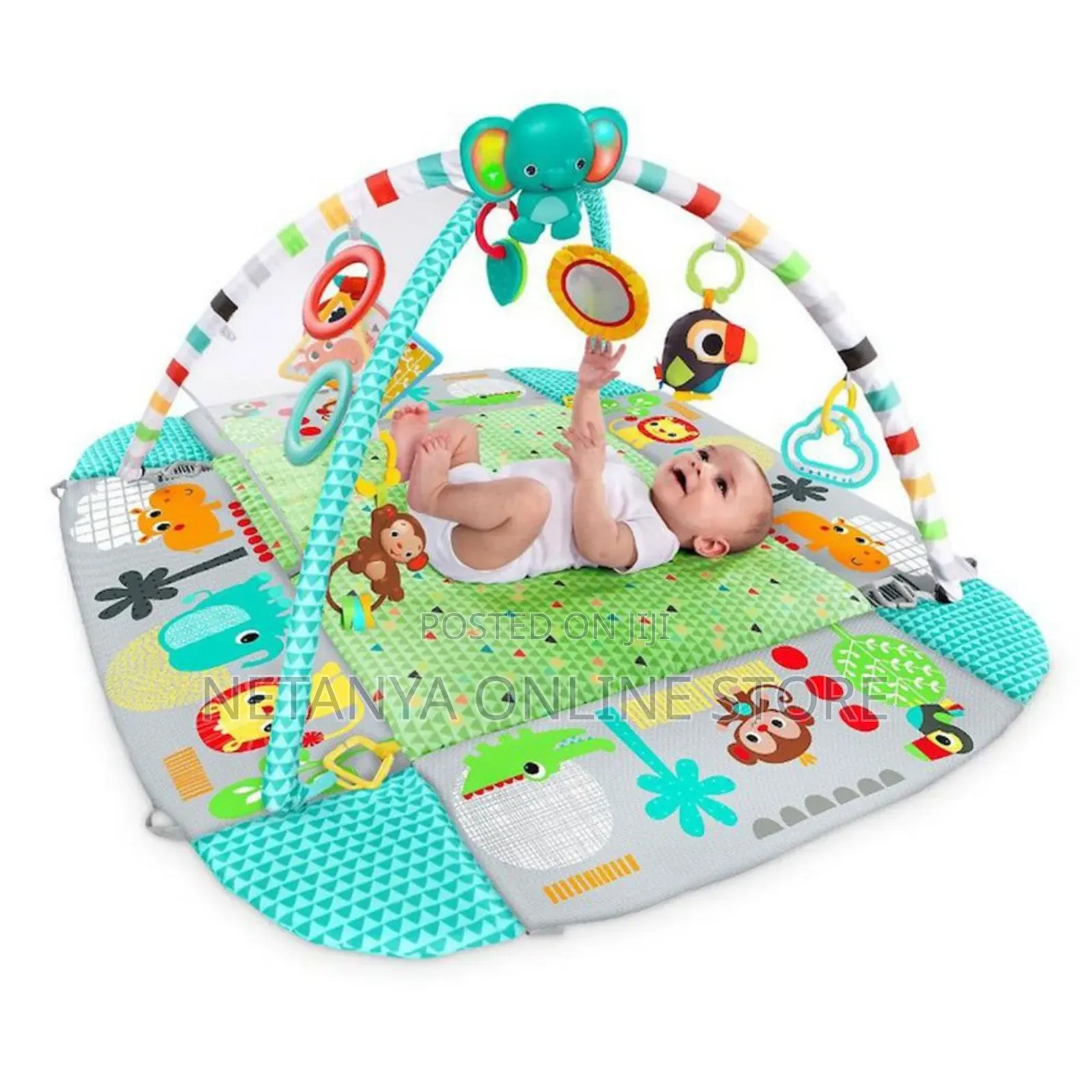 Baby 5in1 Activity Play Gym and Ball Pit