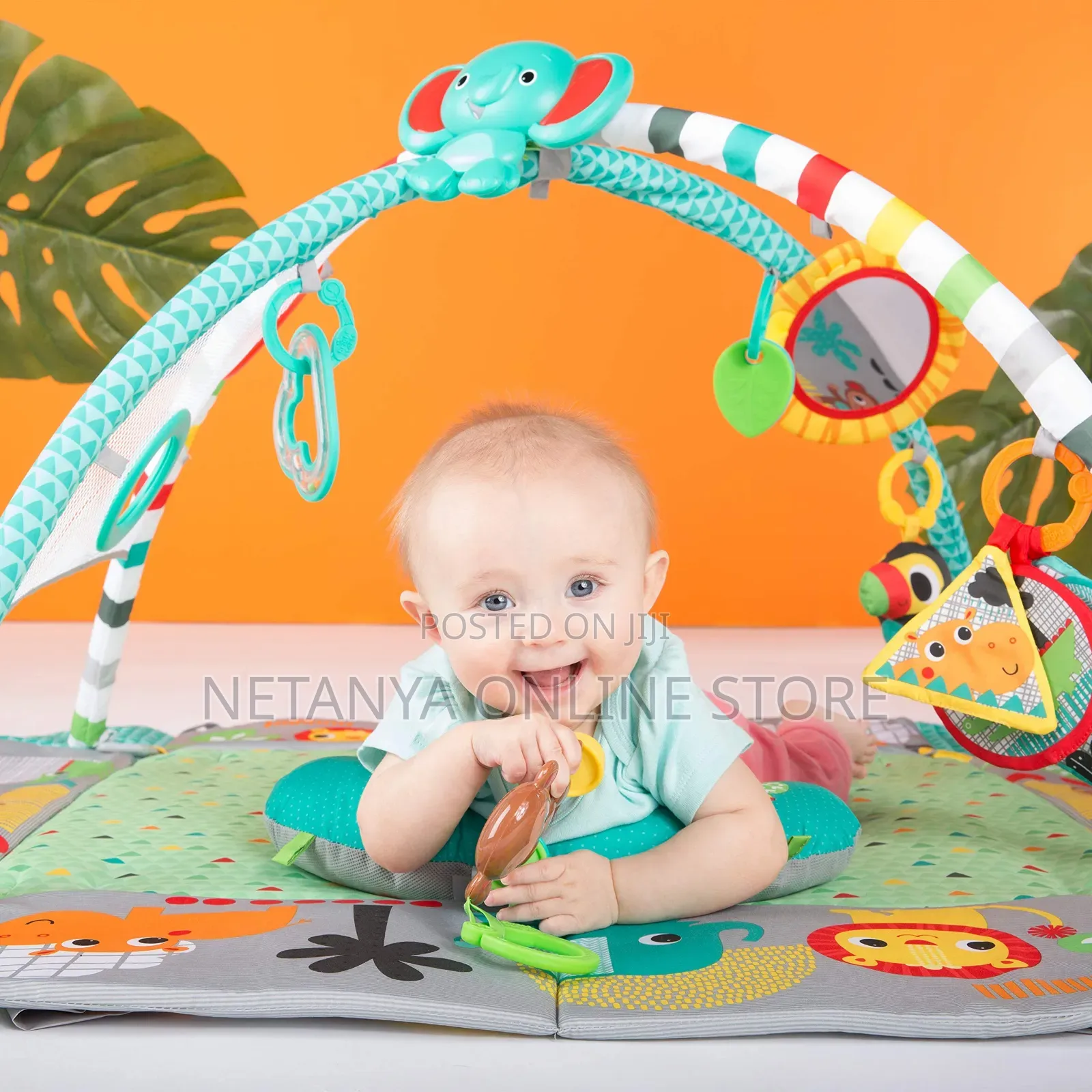 Baby 5in1 Activity Play Gym and Ball Pit