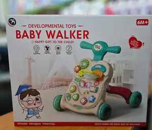 Photo - Developmental Toys Baby Walker