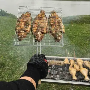 Fish Charcoal Grill Net