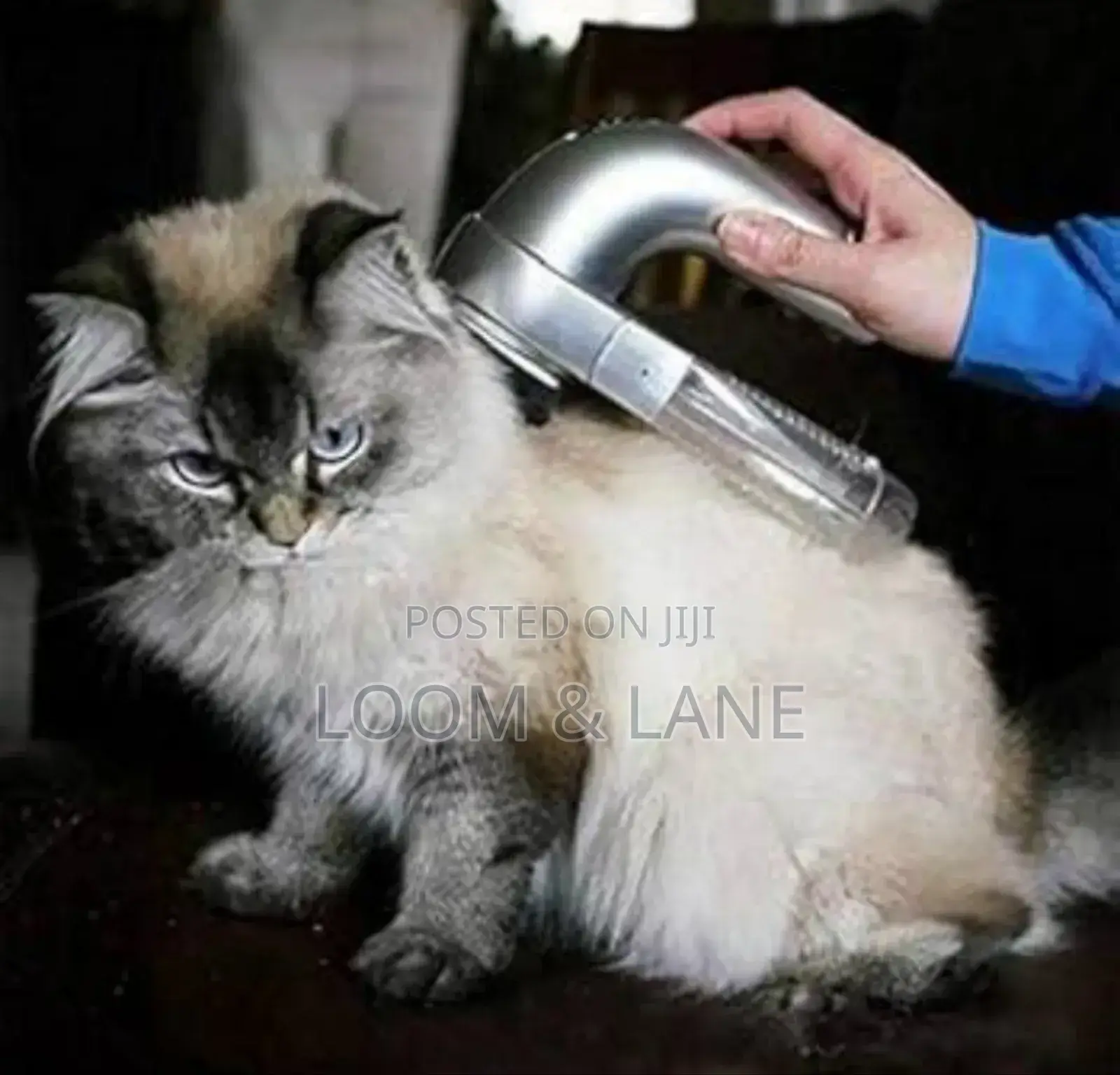 Generic Pet Hair Shed