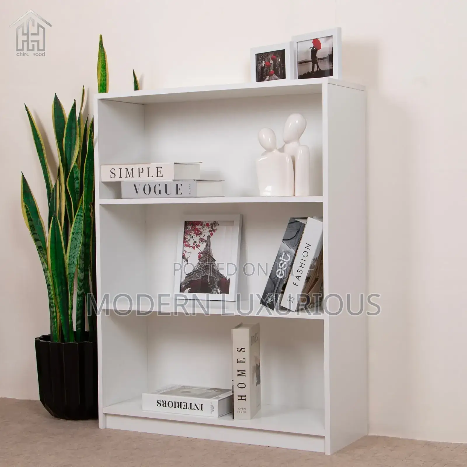 “Nothing/ Comes Cheap, but the /Educated Eye Book Shelf/