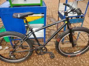 Photo - Modermo Bicycle