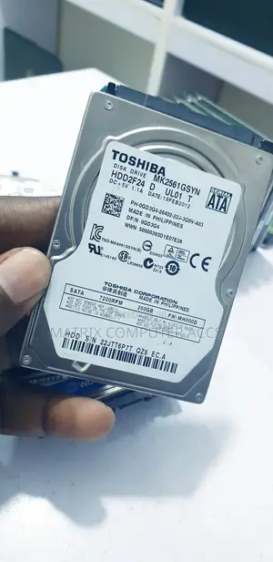 Toshiba 250gb Hard Disk