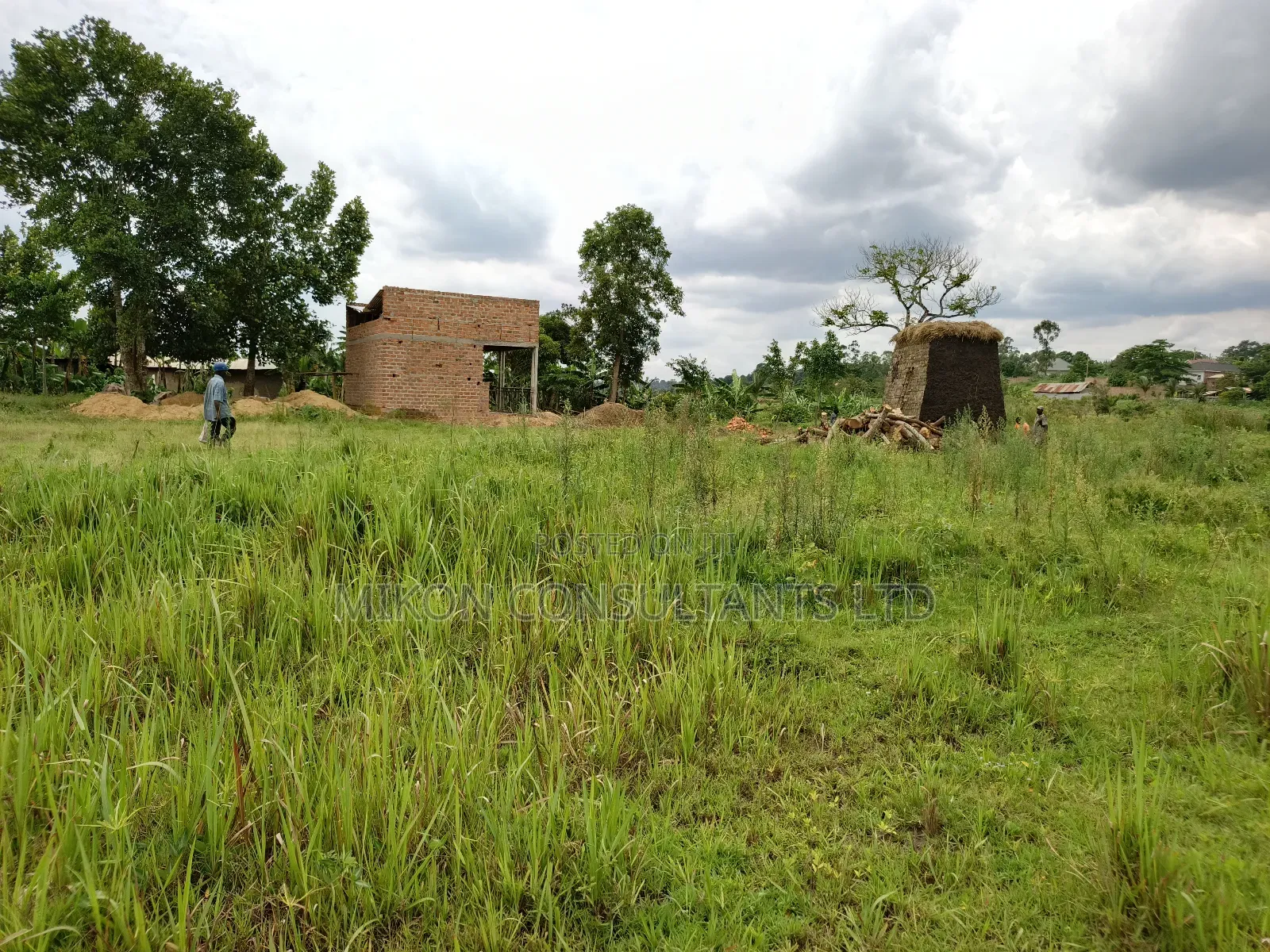 50 by 50 FTS Plot on Sale in Matuga Sanga, Ssemuto Road.