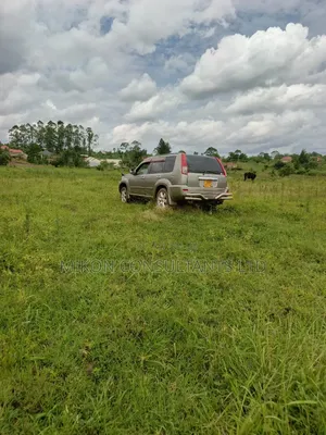 50 by 50 FTS Plot on Sale in Matuga Sanga, Ssemuto Road.