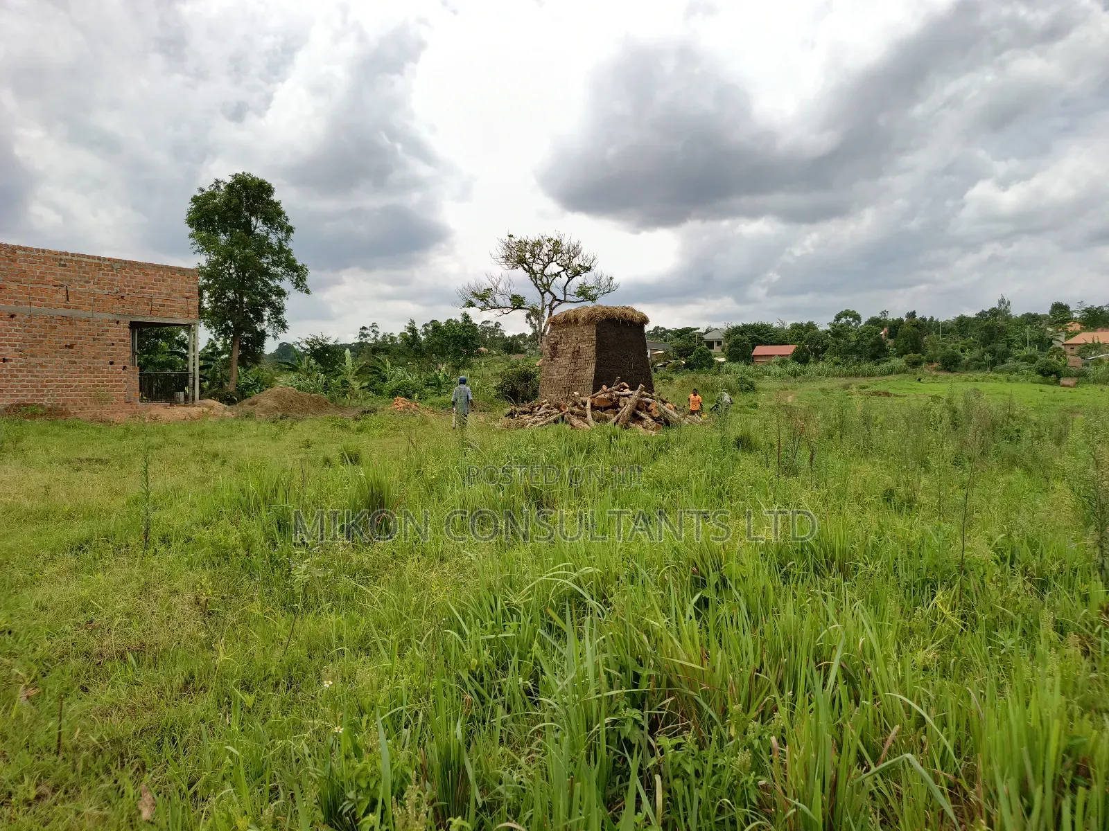 50 by 50 FTS Plot on Sale in Matuga Sanga, Ssemuto Road.