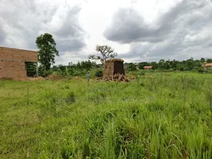 50 by 50 FTS Plot on Sale in Matuga Sanga, Ssemuto Road.