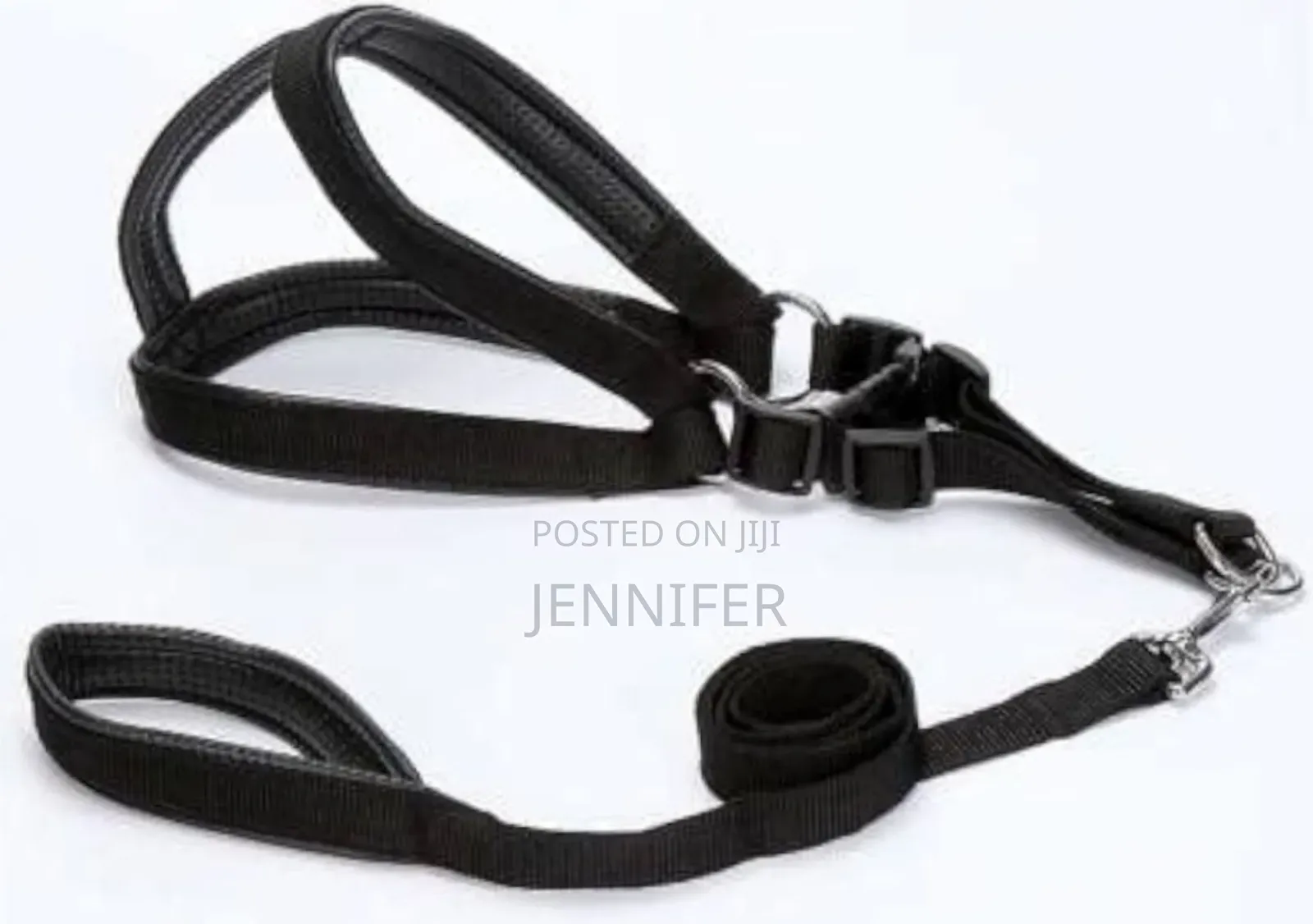 Dog Harness With Leach All Sizes