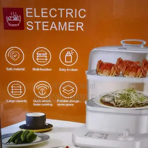 Multifunctional Electric Steamer