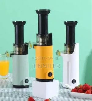 Smart Mini Fruit Slow Juicer