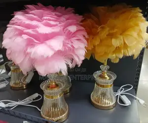Feathery Deco Bedside Tri Colour Light Source Table Lamp