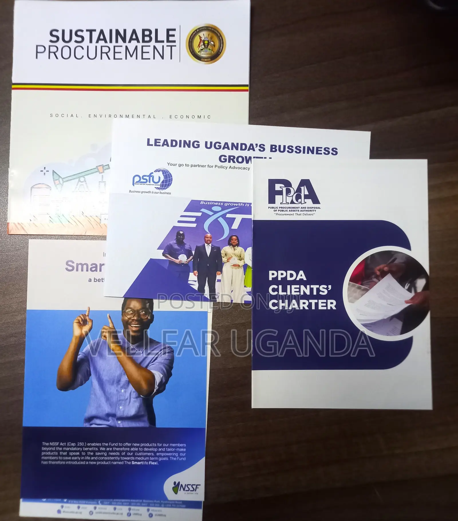 Brochures (Promotional Printing)