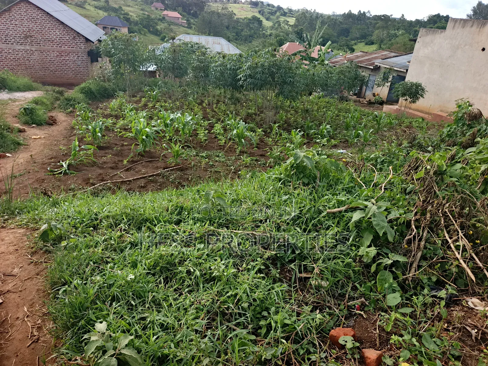 Commercial Plot on Sale