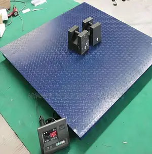 Accurate 3000kg Weighing Scale Cast Iron Weigh Digital Weighing Scale