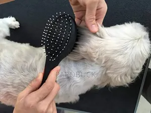 2 in 1 Pet Grooming Brush