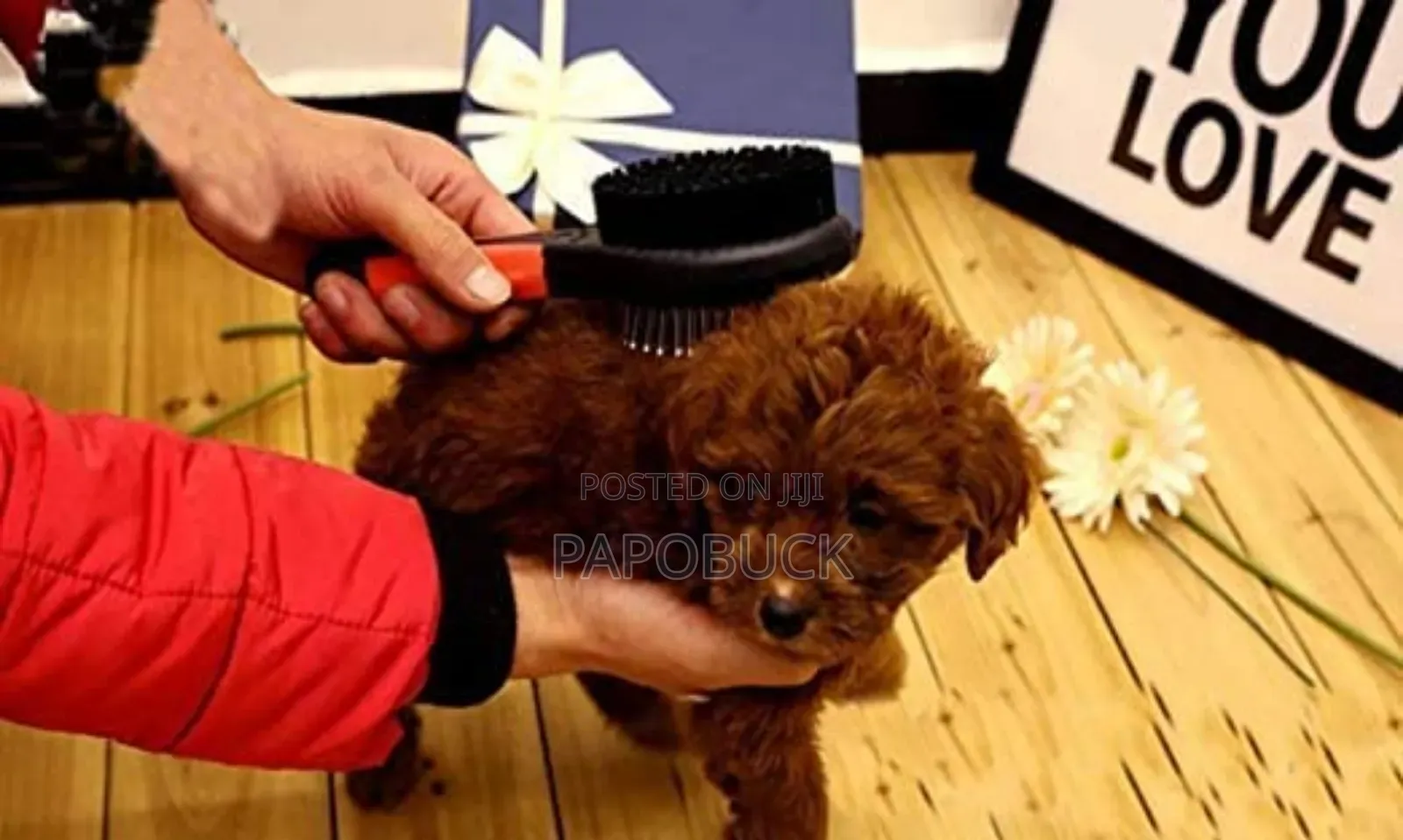 2 in 1 Pet Grooming Brush