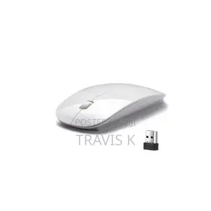 Portable Wireless Mouse