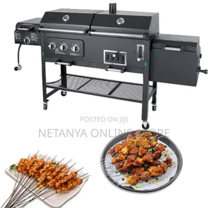 Smoke Hollow Charcoal and Gas Grill