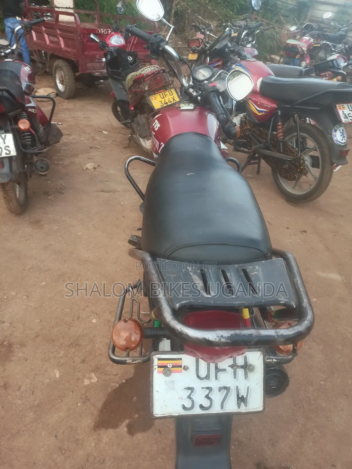 TVS HLX 125 2023 Red