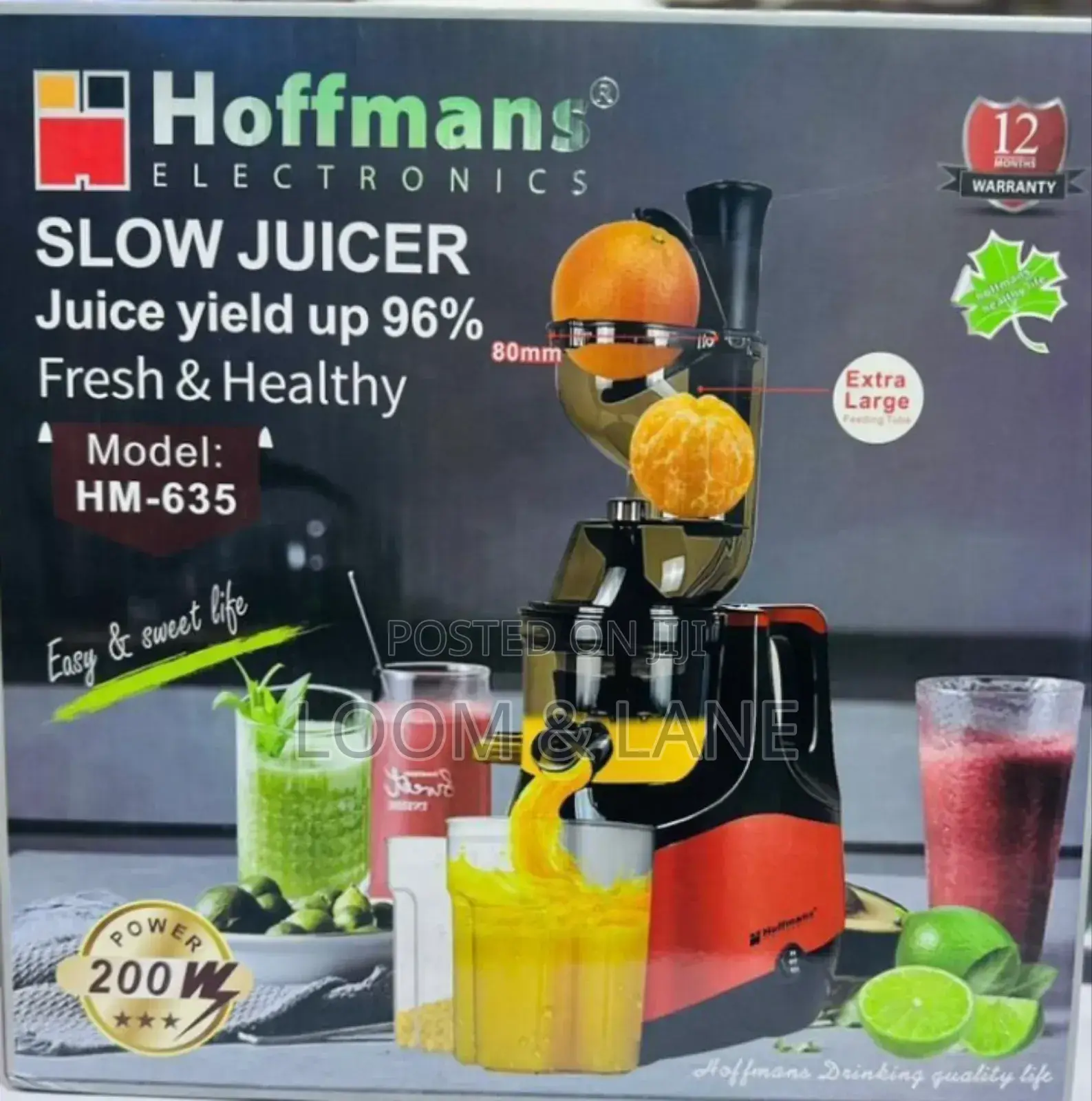 Unique Hoffmans Slow Juicer
