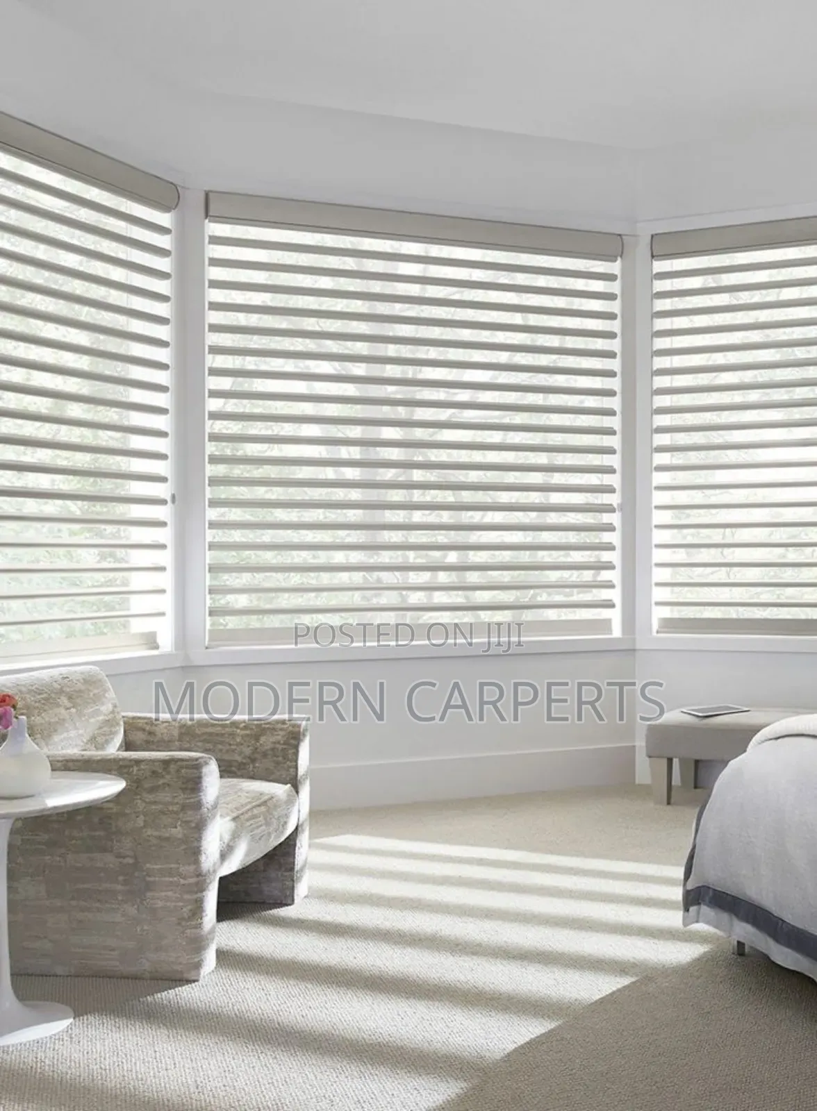 Modern Zebra Blinds