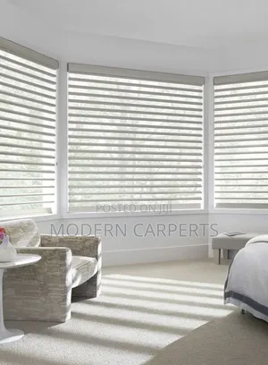 Modern Zebra Blinds