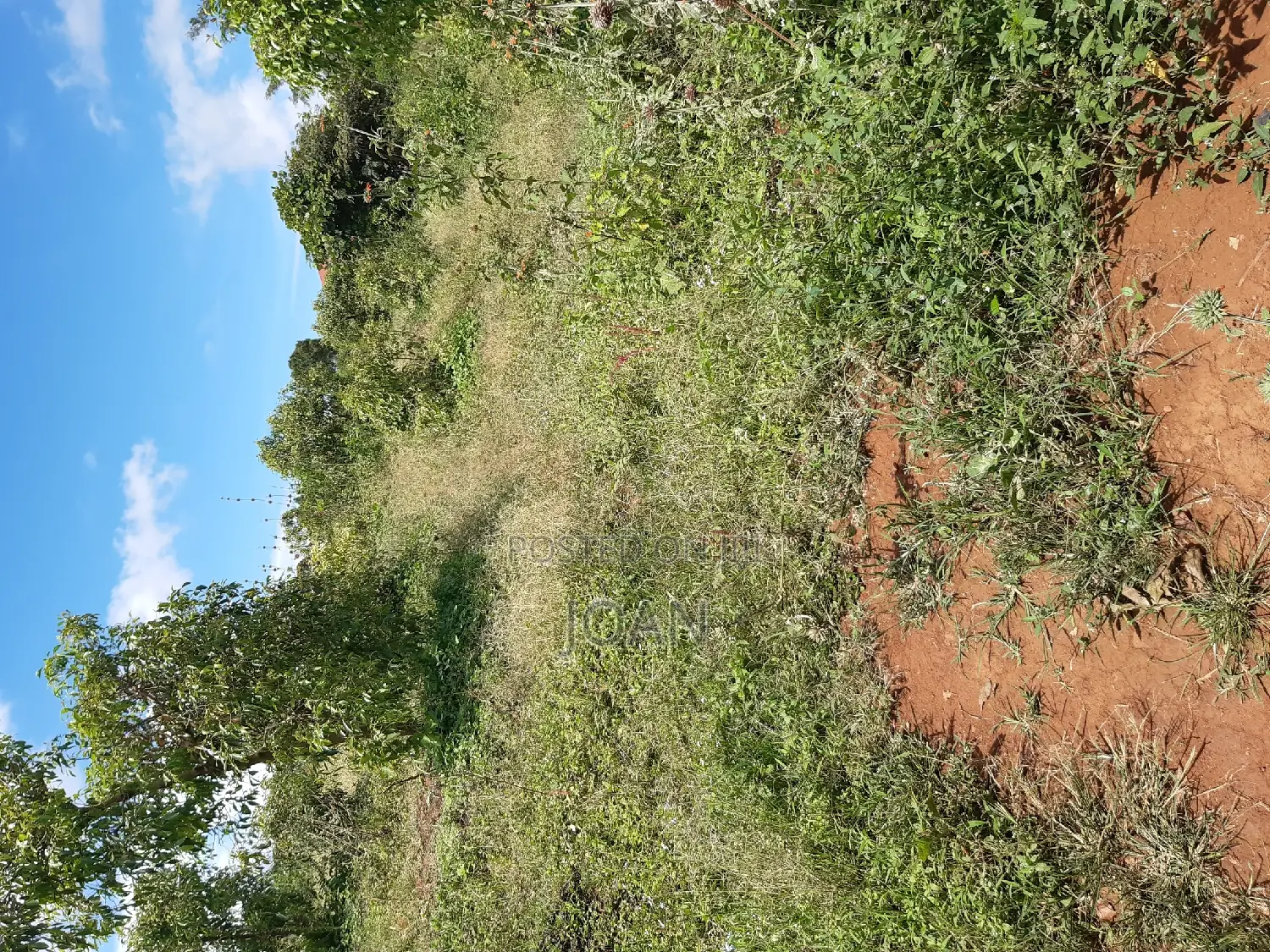 50/100ft Plot in Kajansi -Kitovu Estate at Only 55m