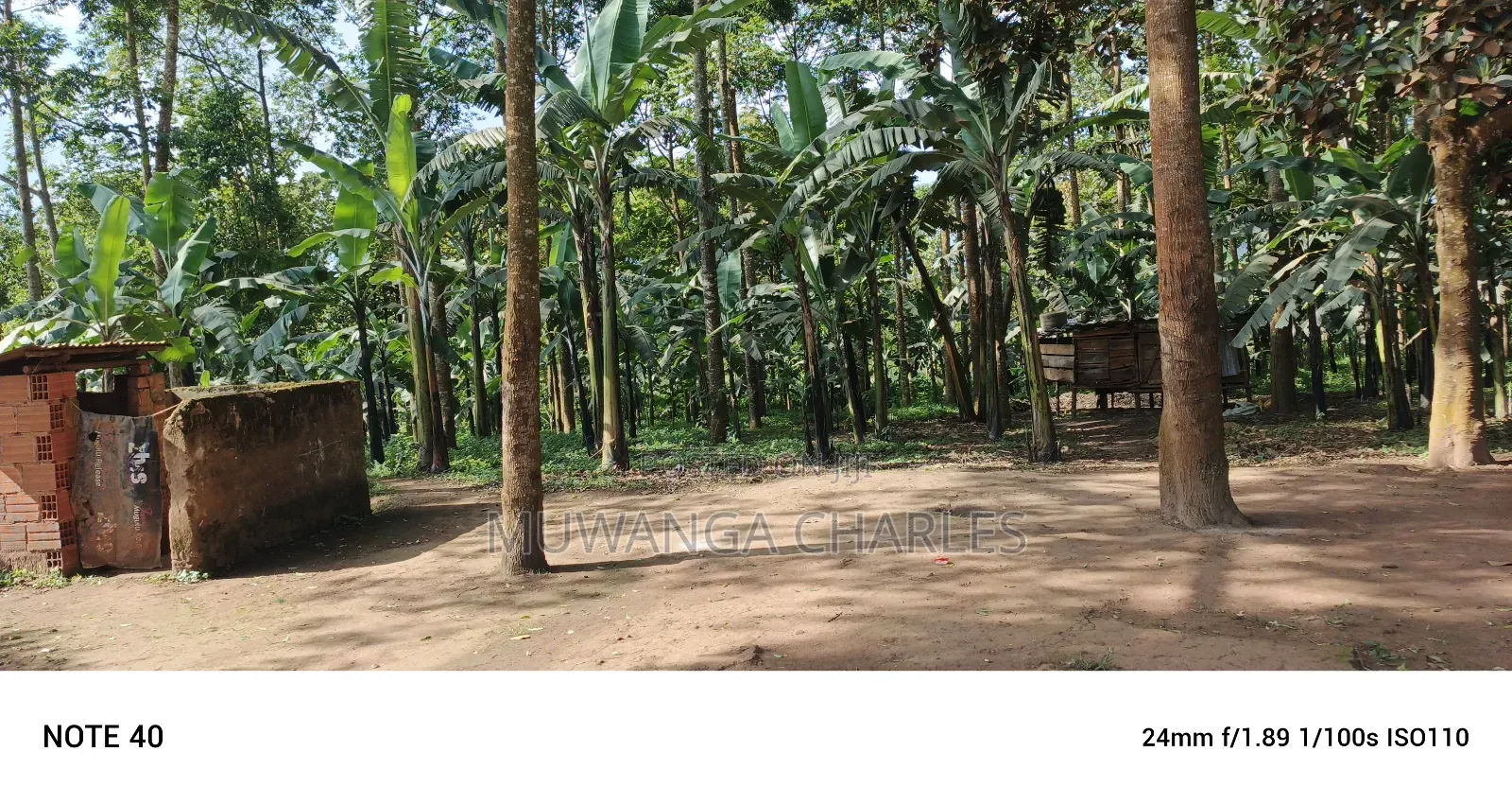8acres of Land on Sale in Nangabo