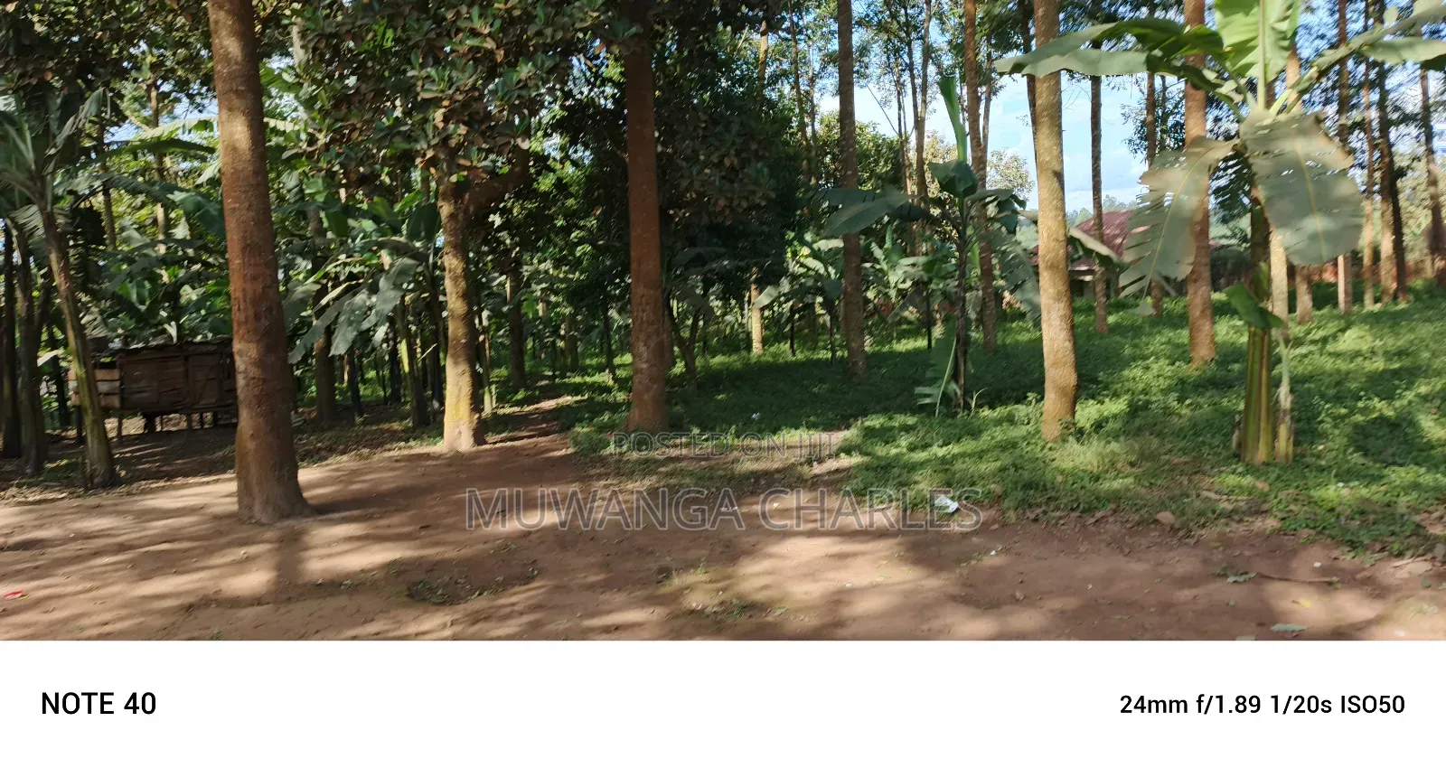 8acres of Land on Sale in Nangabo
