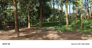 8acres of Land on Sale in Nangabo