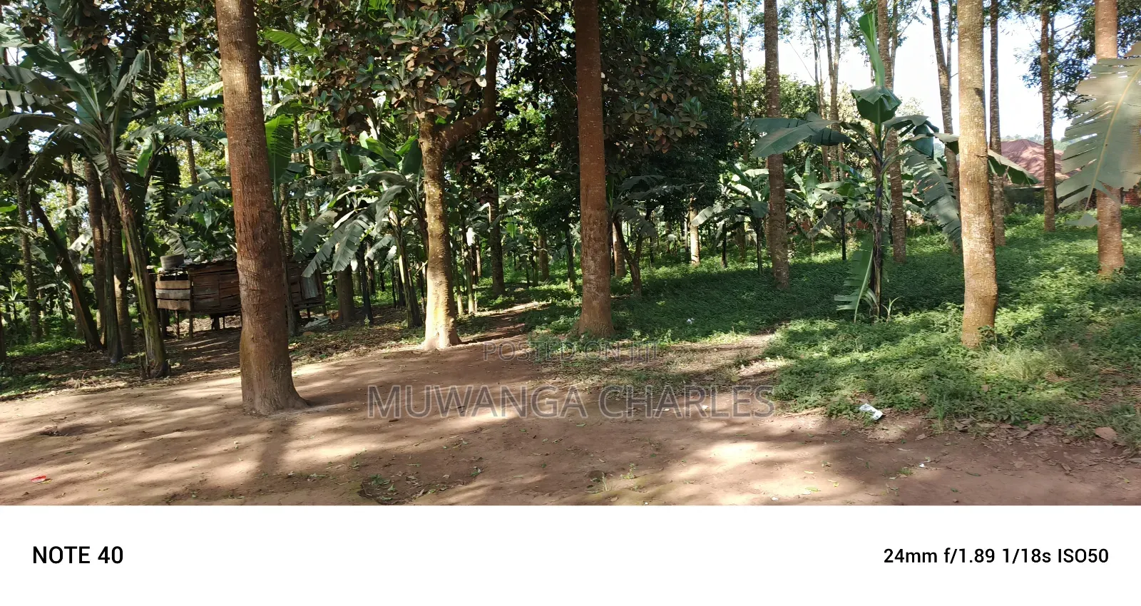8acres of Land on Sale in Nangabo