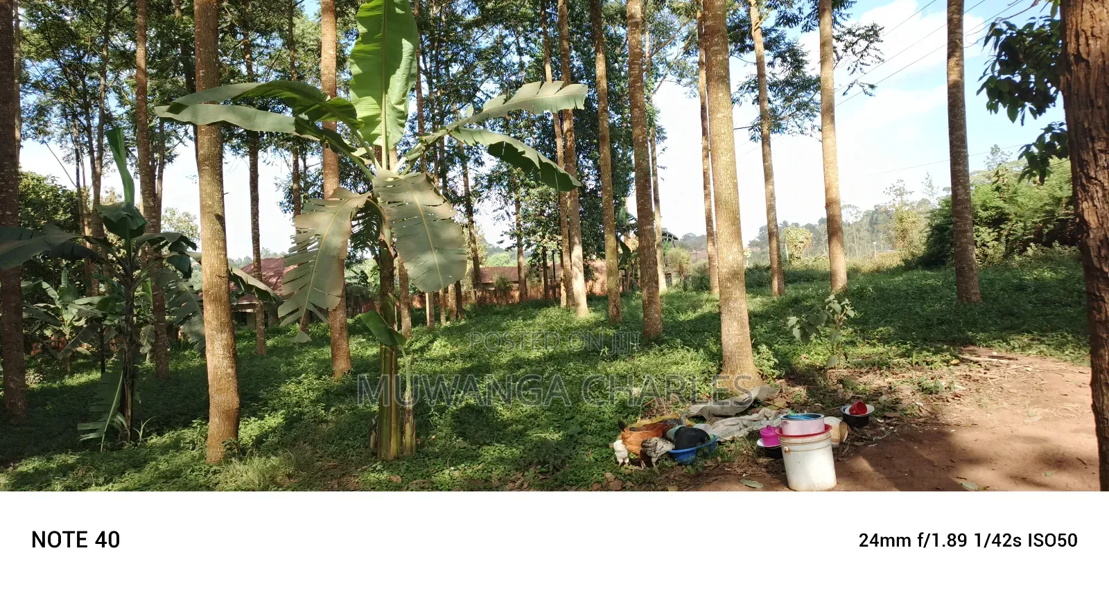 8acres of Land on Sale in Nangabo