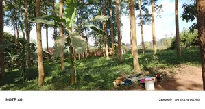 8acres of Land on Sale in Nangabo