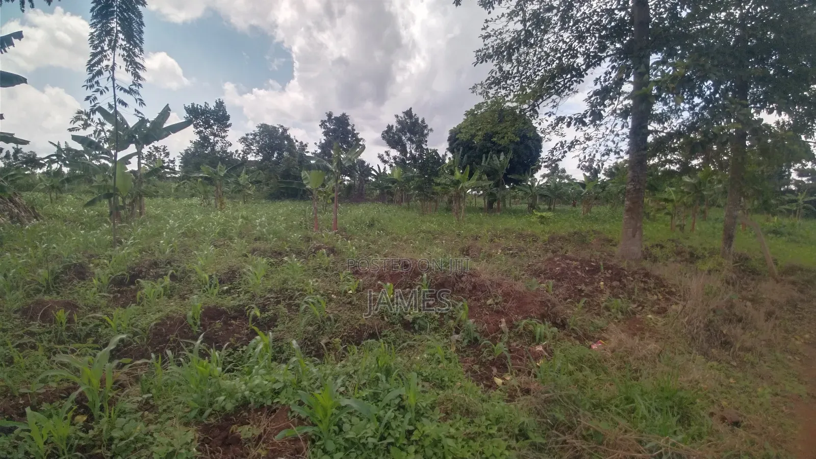 Land for Sale