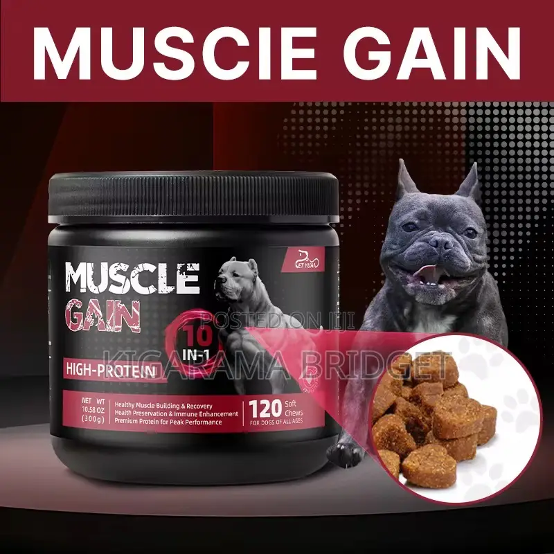 High Protein Dog Muscle Booster for Weight Gain(Dog Food)