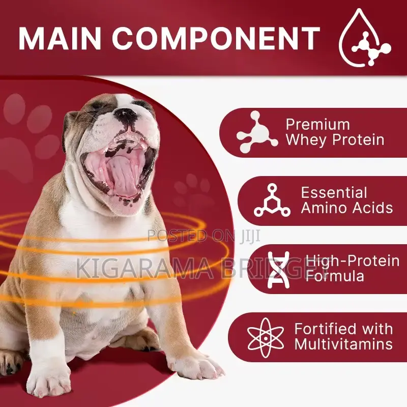 High Protein Dog Muscle Booster for Weight Gain(Dog Food)