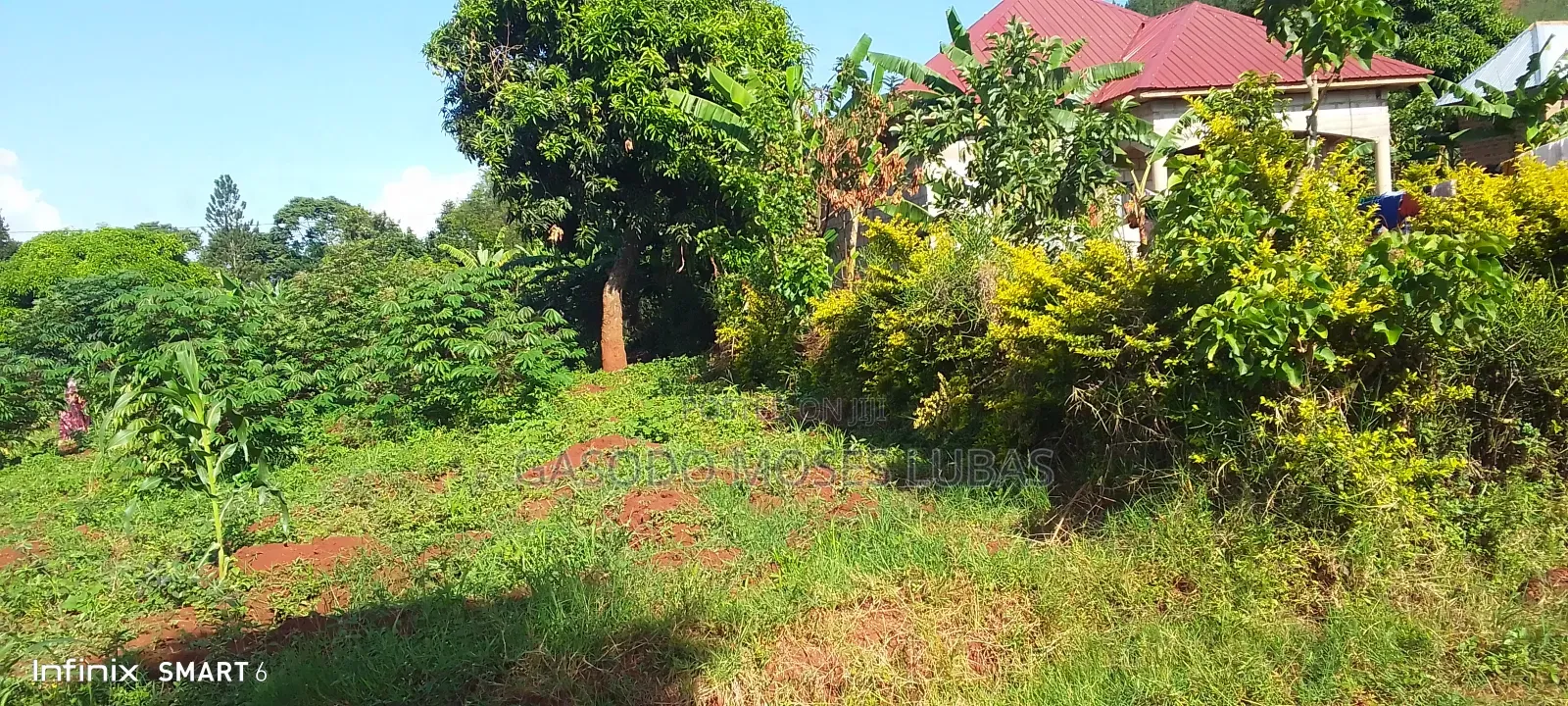 Plot for Sale at Namulesa in Jinja City