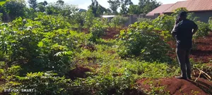 Plot for Sale at Namulesa in Jinja City