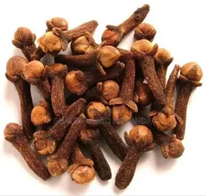 Zanzibar Cloves Tree Seedlings
